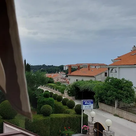 Duda * Pula