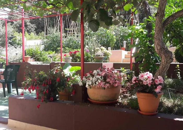 Duda Διαμέρισμα *